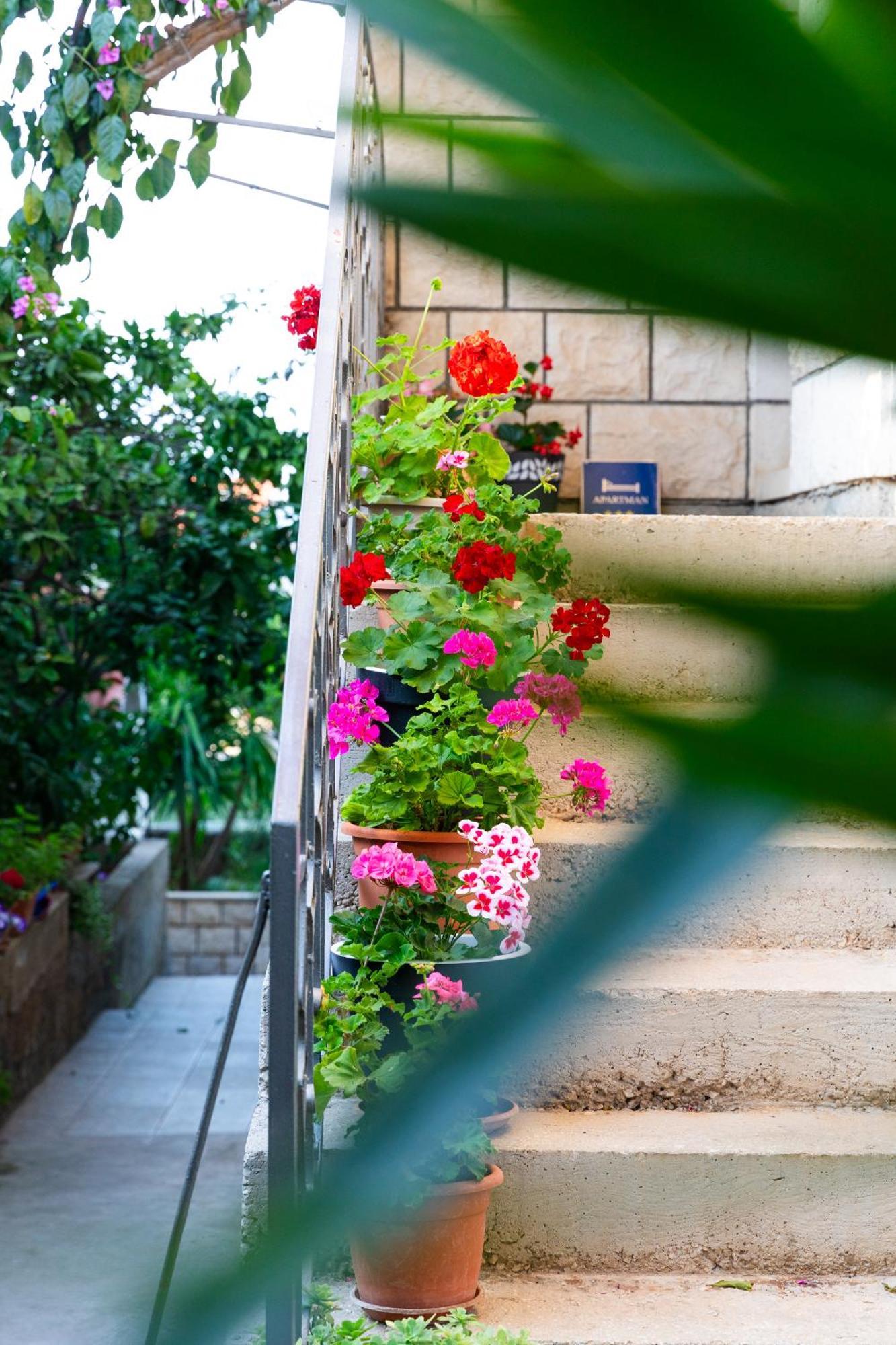 Apartments Martic スペタル エクステリア 写真